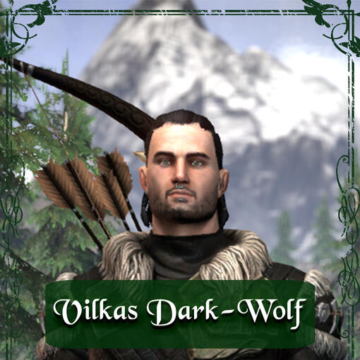 Vilkas Dark-Wolf